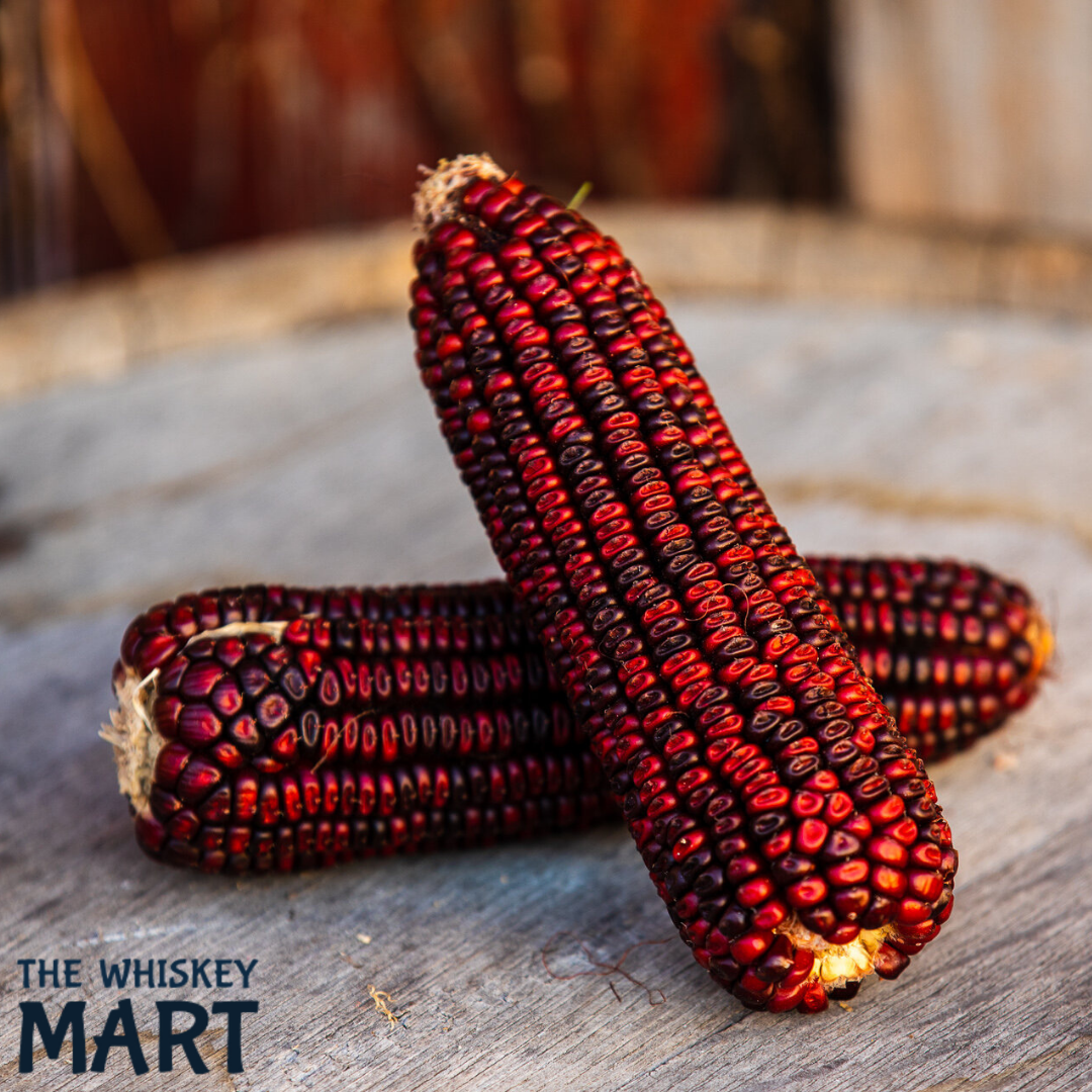Bloody Butcher Corn